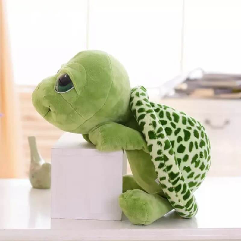 Big Eyed Turtle Plush