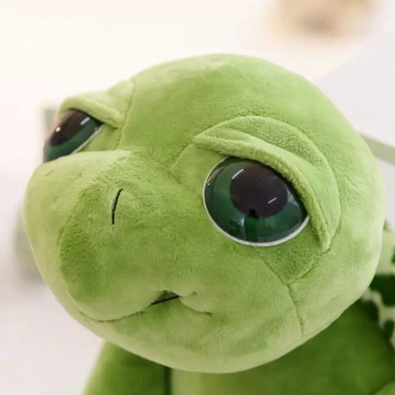 Big Eyed Turtle Plush