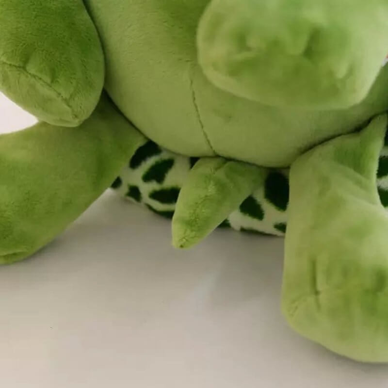 Big Eyed Turtle Plush