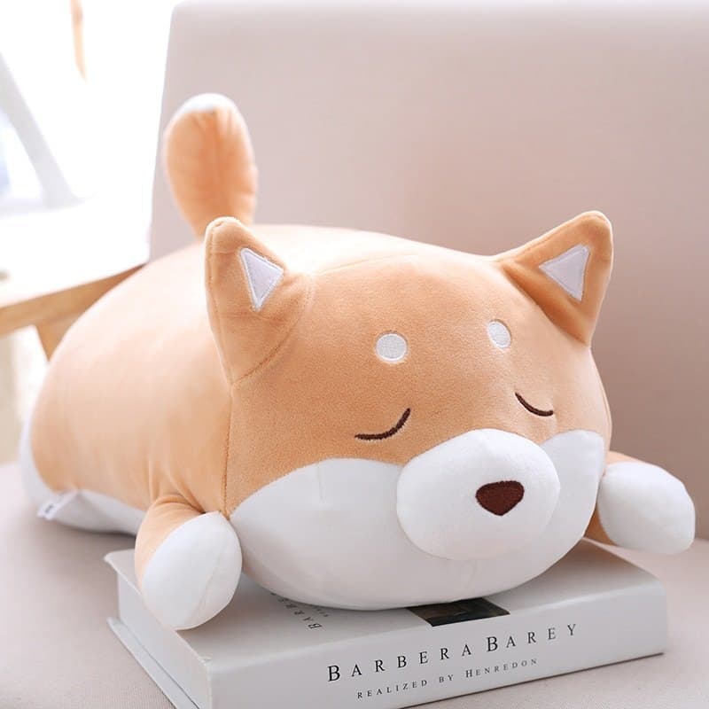 Close eyes cute brown shiba inu lying on a book