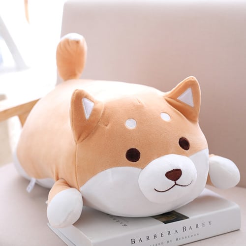 Open eyes cute brown shiba inu lying on a book