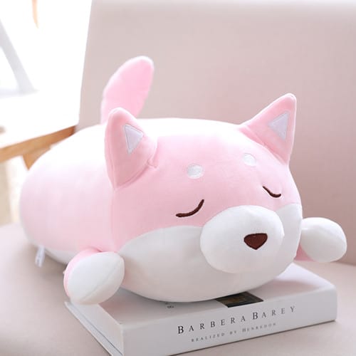 Close eyes cute pink shiba inu lying on a book
