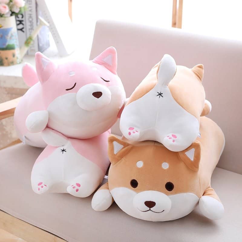 Adopt a cuddly Shiba Inu!