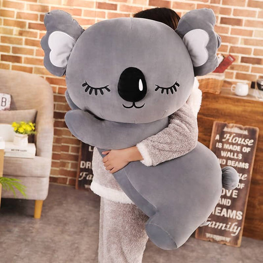 Adopt a cuddly koala today!