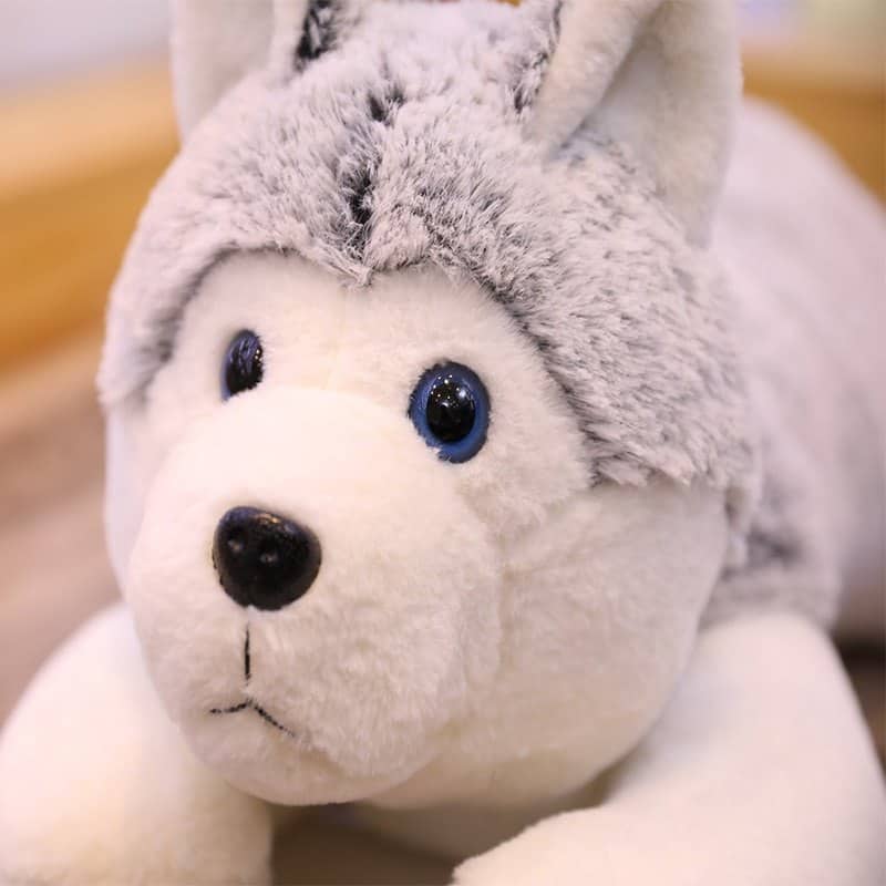 close-up of siberian husky stuffed animal eyes