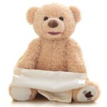 Peek A Boo Bear