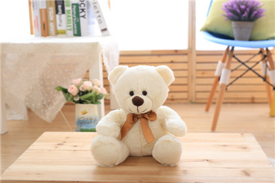 Cute Kawaii Teddy Bear - White Teddy Bear