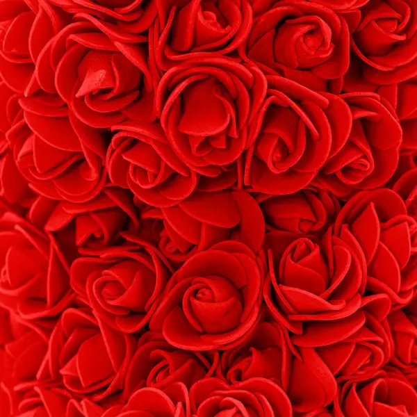 Red Rose Teddy Bear Close Up