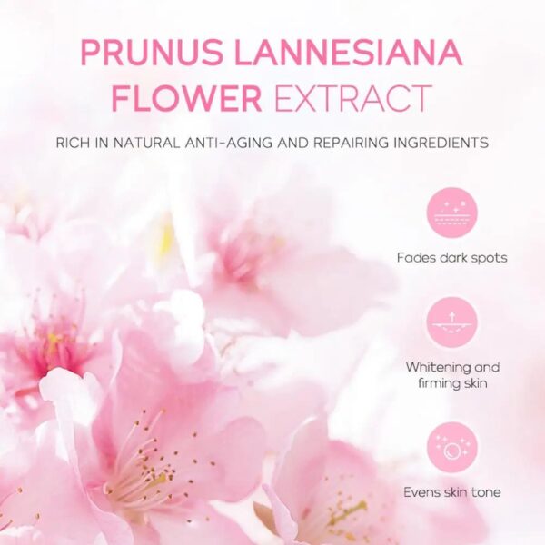 korean-sakura-cherry-blossom-skin-care-sets-129.jpg